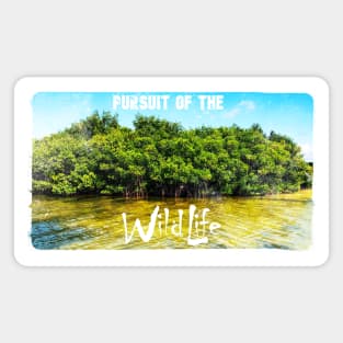 WildLife Mangrove Magnet